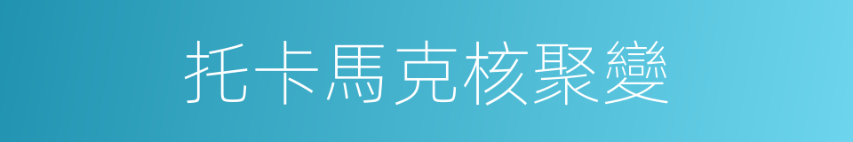托卡馬克核聚變的同義詞