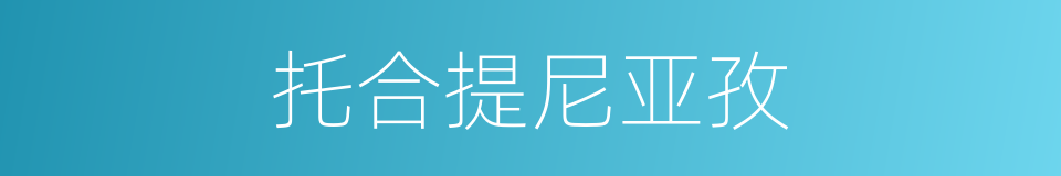 托合提尼亚孜的同义词