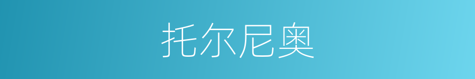 托尔尼奥的同义词