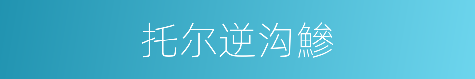 托尔逆沟鰺的同义词