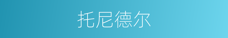 托尼德尔的同义词