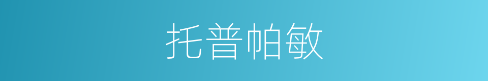 托普帕敏的同义词