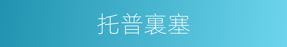 托普裏塞的同義詞