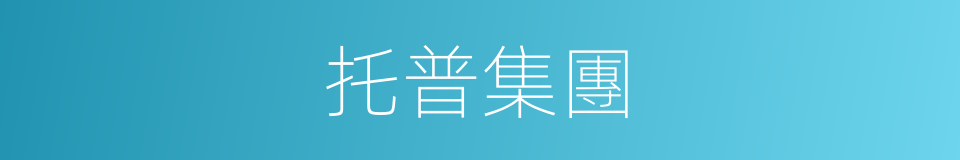 托普集團的同義詞