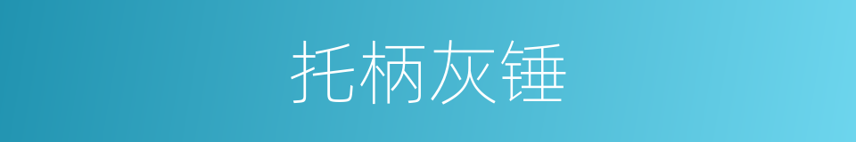 托柄灰锤的同义词