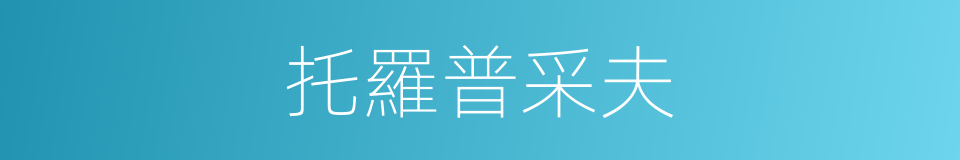 托羅普采夫的同義詞