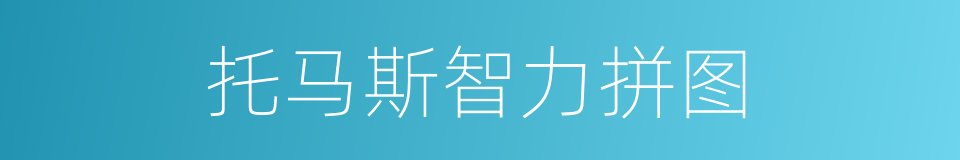 托马斯智力拼图的同义词