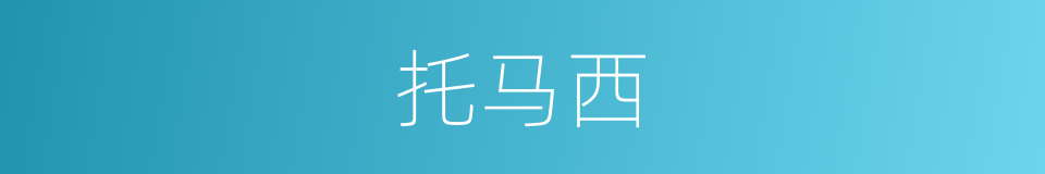 托马西的同义词