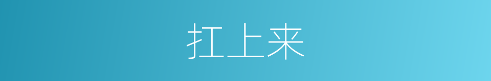 扛上来的同义词
