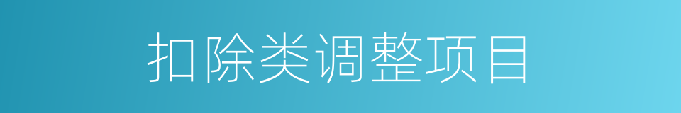 扣除类调整项目的同义词