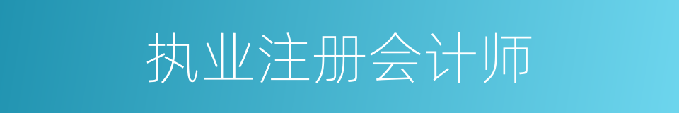 执业注册会计师的同义词