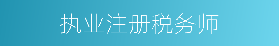 执业注册税务师的同义词