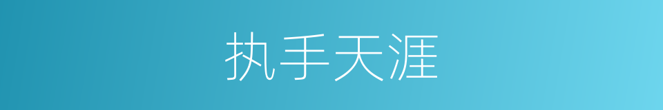 执手天涯的意思