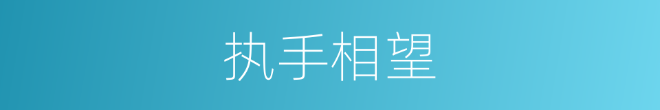 执手相望的同义词