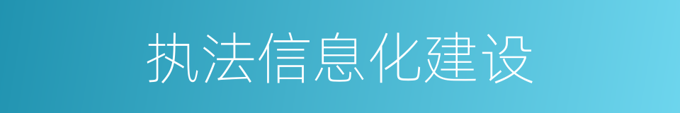 执法信息化建设的同义词