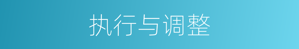 执行与调整的同义词