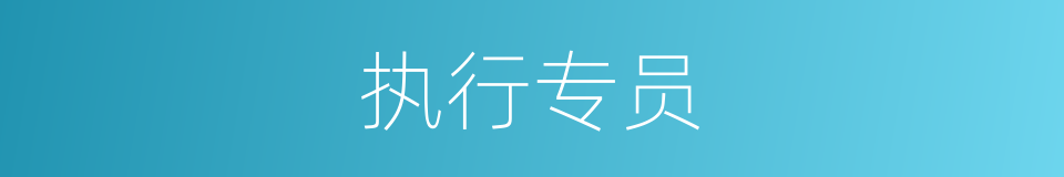 执行专员的同义词