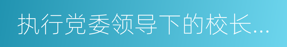 执行党委领导下的校长负责制的同义词