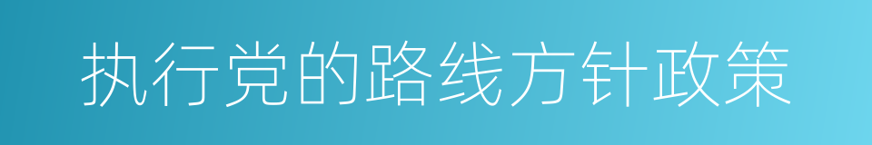 执行党的路线方针政策的同义词