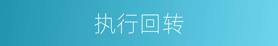 执行回转的同义词