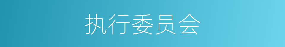 执行委员会的同义词