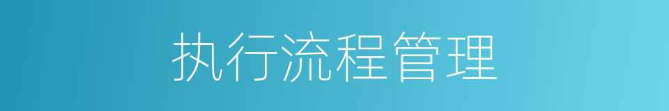 执行流程管理的同义词