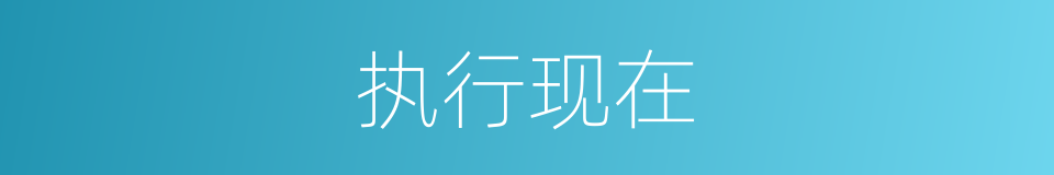 执行现在的意思