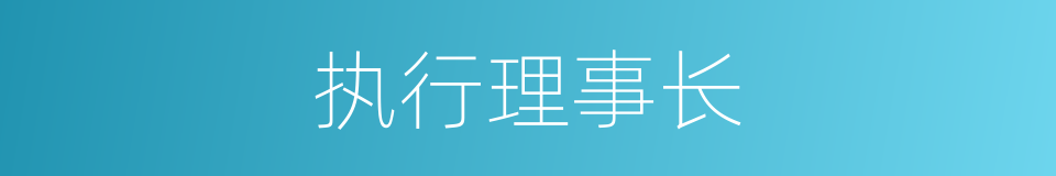 执行理事长的同义词