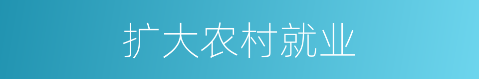 扩大农村就业的同义词
