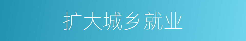 扩大城乡就业的同义词