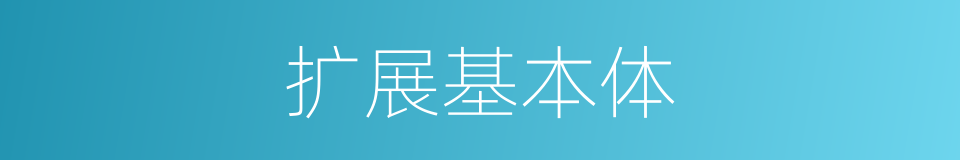 扩展基本体的同义词