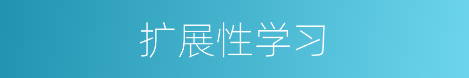 扩展性学习的同义词