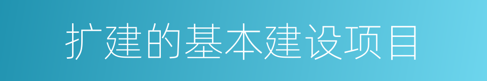 扩建的基本建设项目的同义词