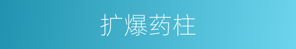 扩爆药柱的同义词