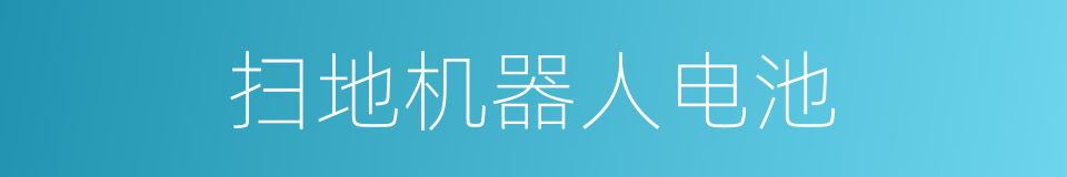 扫地机器人电池的同义词