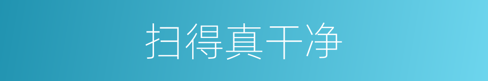 扫得真干净的同义词