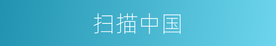 扫描中国的同义词