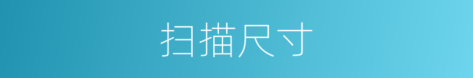 扫描尺寸的同义词