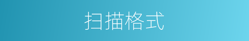 扫描格式的同义词