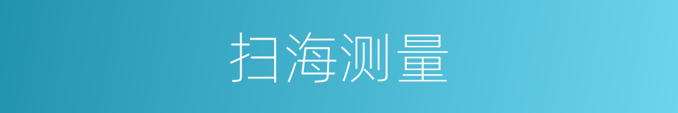 扫海测量的同义词