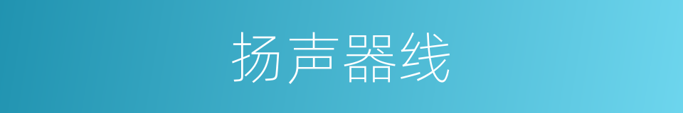 扬声器线的同义词