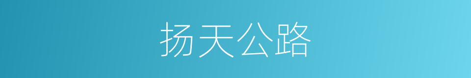扬天公路的同义词
