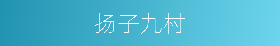 扬子九村的同义词