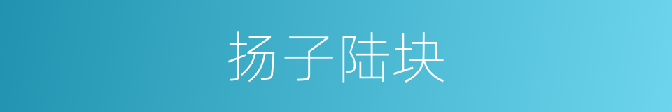 扬子陆块的同义词