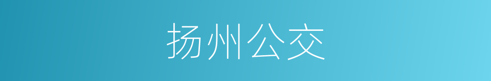 扬州公交的同义词