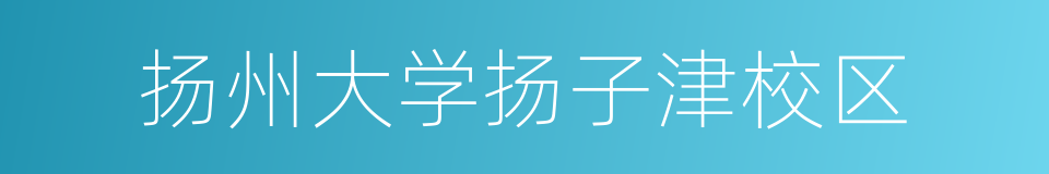 扬州大学扬子津校区的同义词