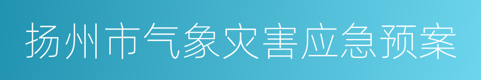 扬州市气象灾害应急预案的同义词