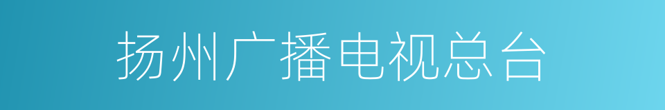 扬州广播电视总台的同义词