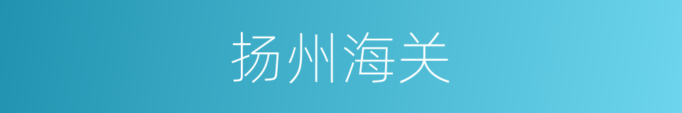 扬州海关的同义词