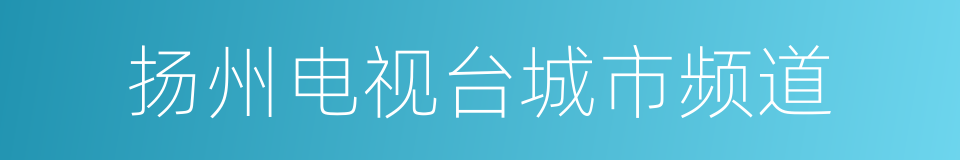 扬州电视台城市频道的同义词